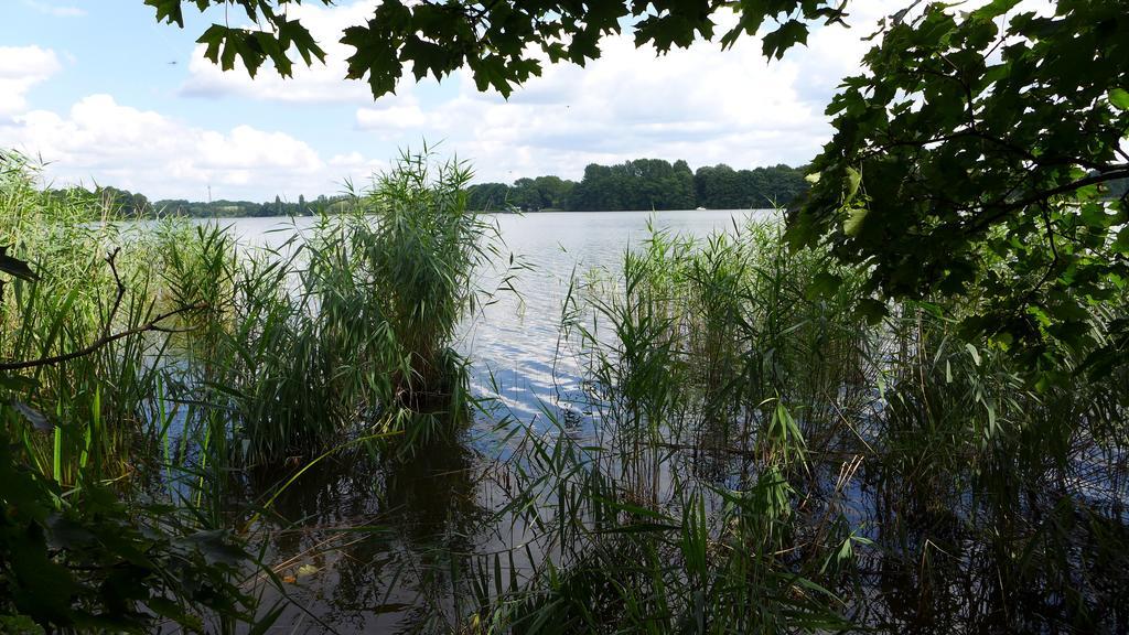 Ferienhaus Natura Villa Neuruppin Room photo