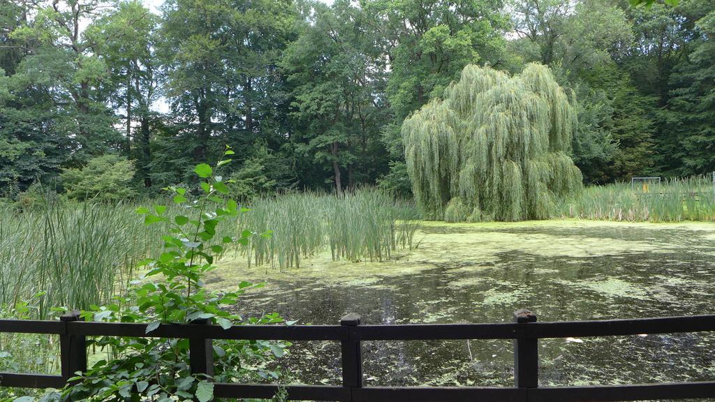 Ferienhaus Natura Villa Neuruppin Room photo