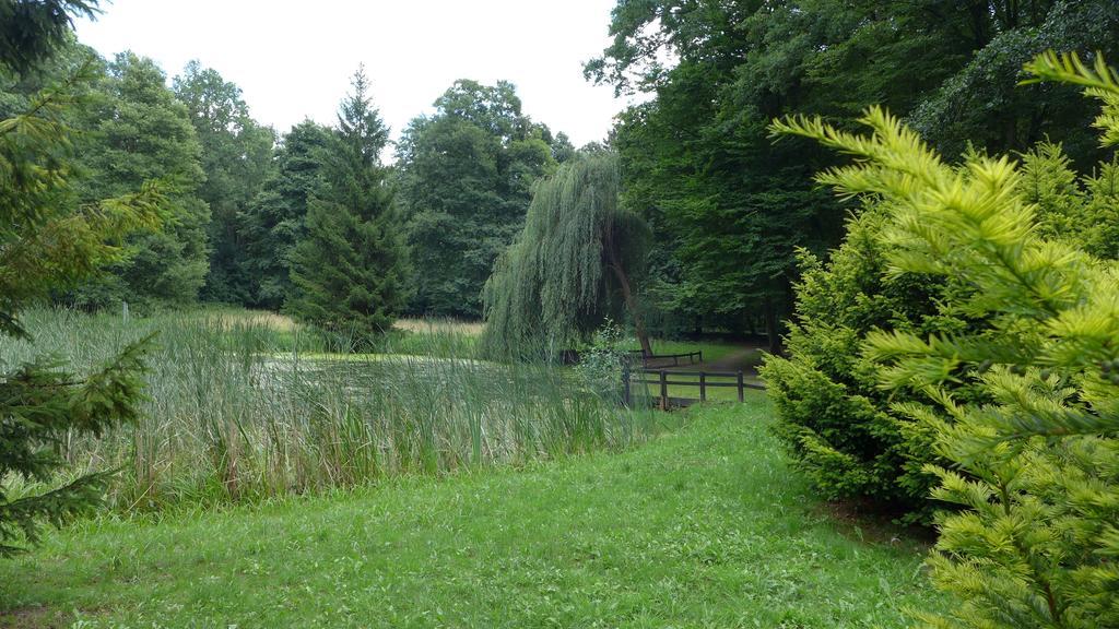 Ferienhaus Natura Villa Neuruppin Room photo